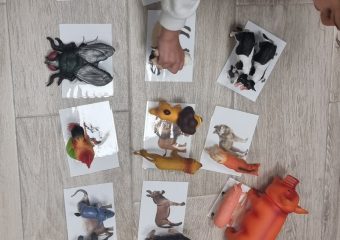 Asociación objeto-imagen